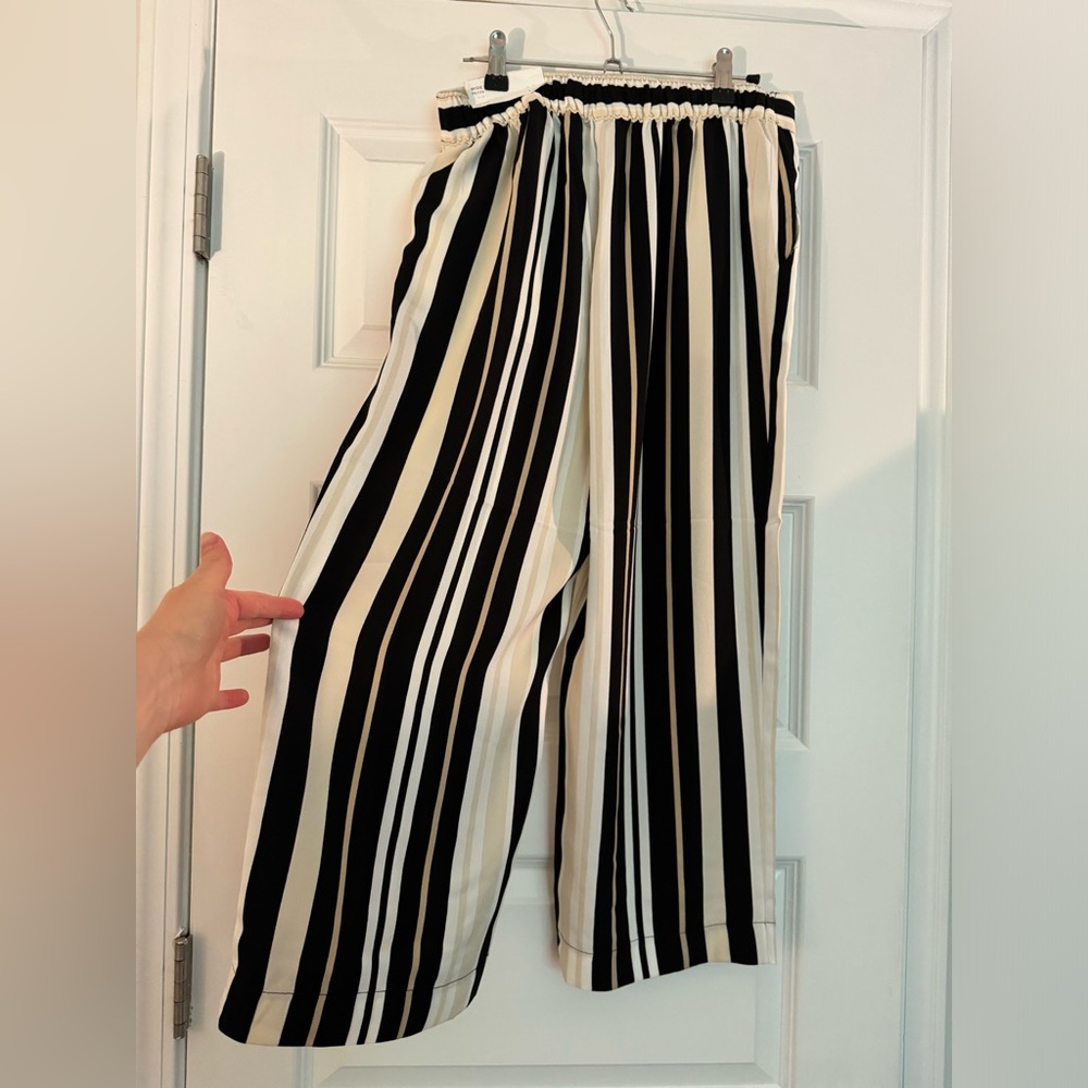 Ann Taylor Small petite pants